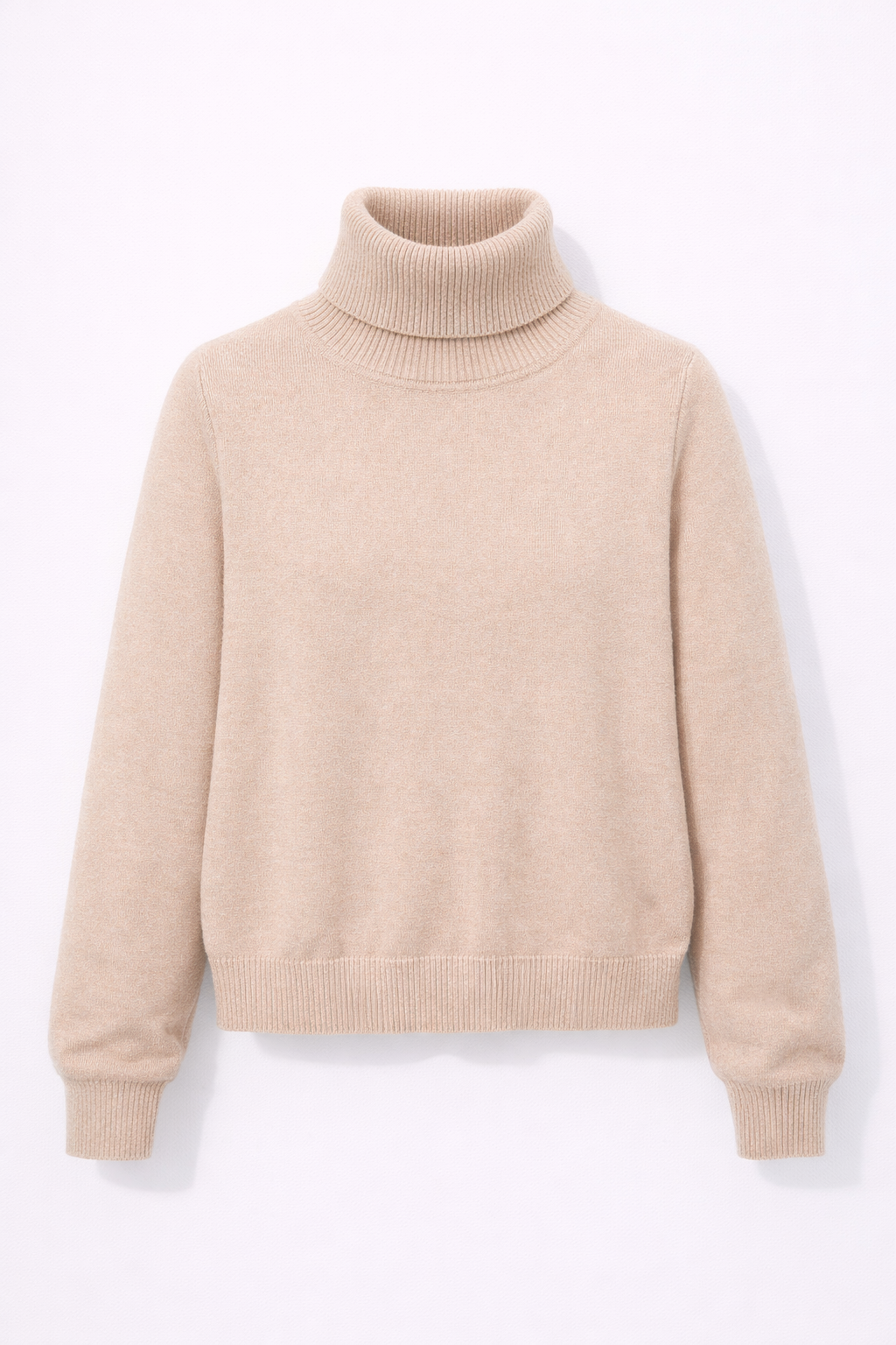 Thicken Velvet Turtleneck